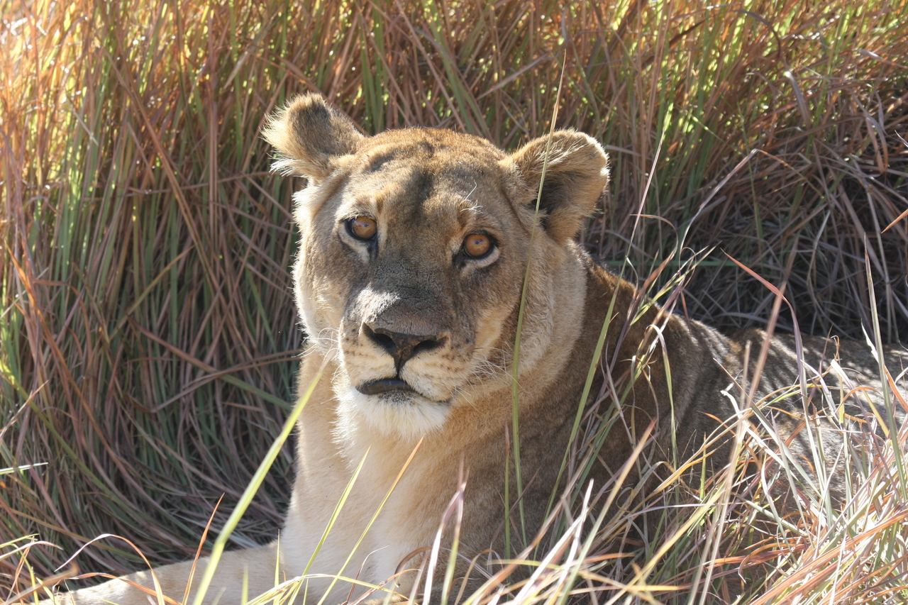 [18793] 2016_06_28_04_17_47_Africa_Canon_EOS_40D_IMG__02751.jpg