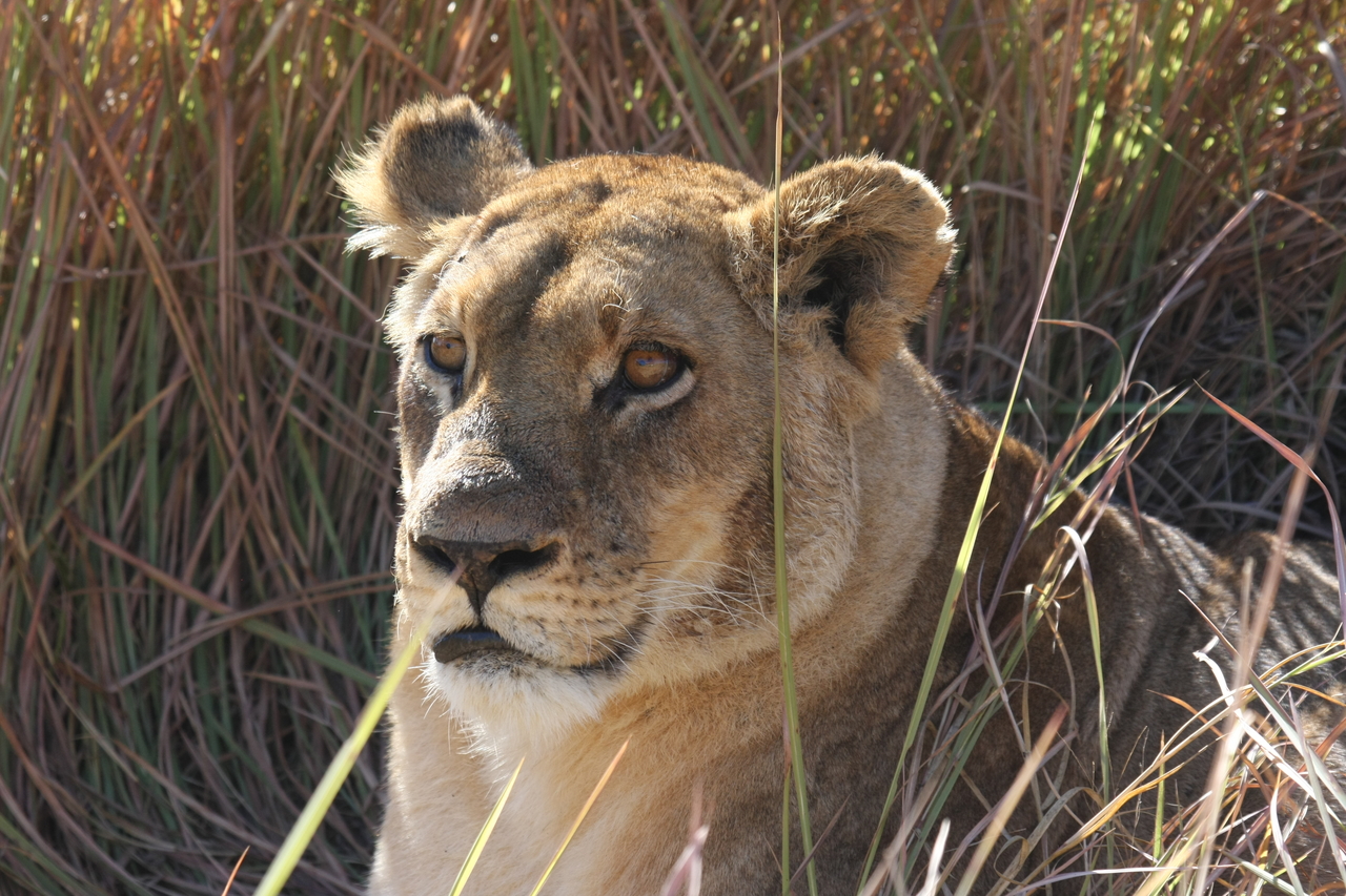 [18803] 2016_06_28_04_17_50_Africa_Canon_EOS_40D_IMG__10201.jpg