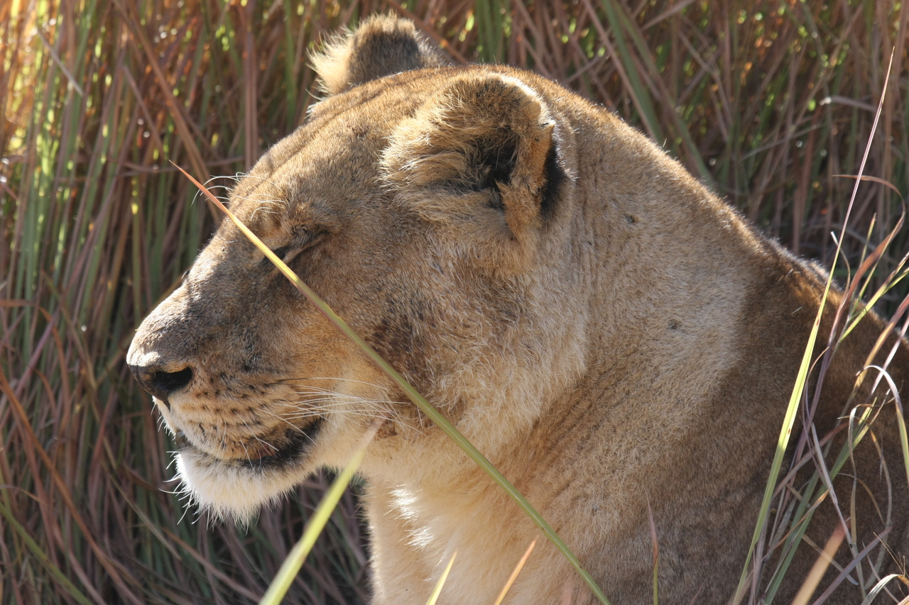 [18804] 2016_06_28_04_18_03_Africa_Canon_EOS_40D_IMG__00368.jpg