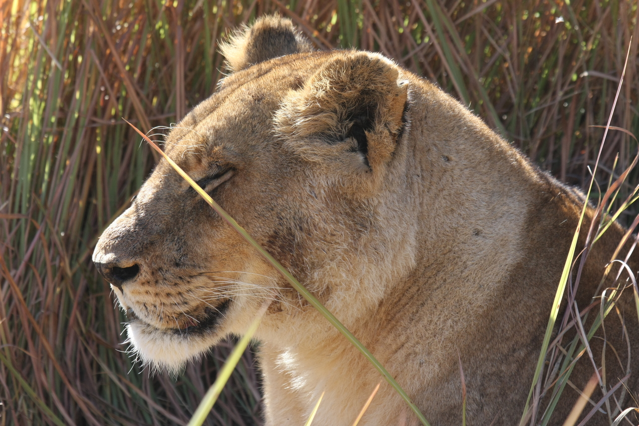 [18811] 2016_06_28_04_18_03_Africa_Canon_EOS_40D_IMG__10204.jpg