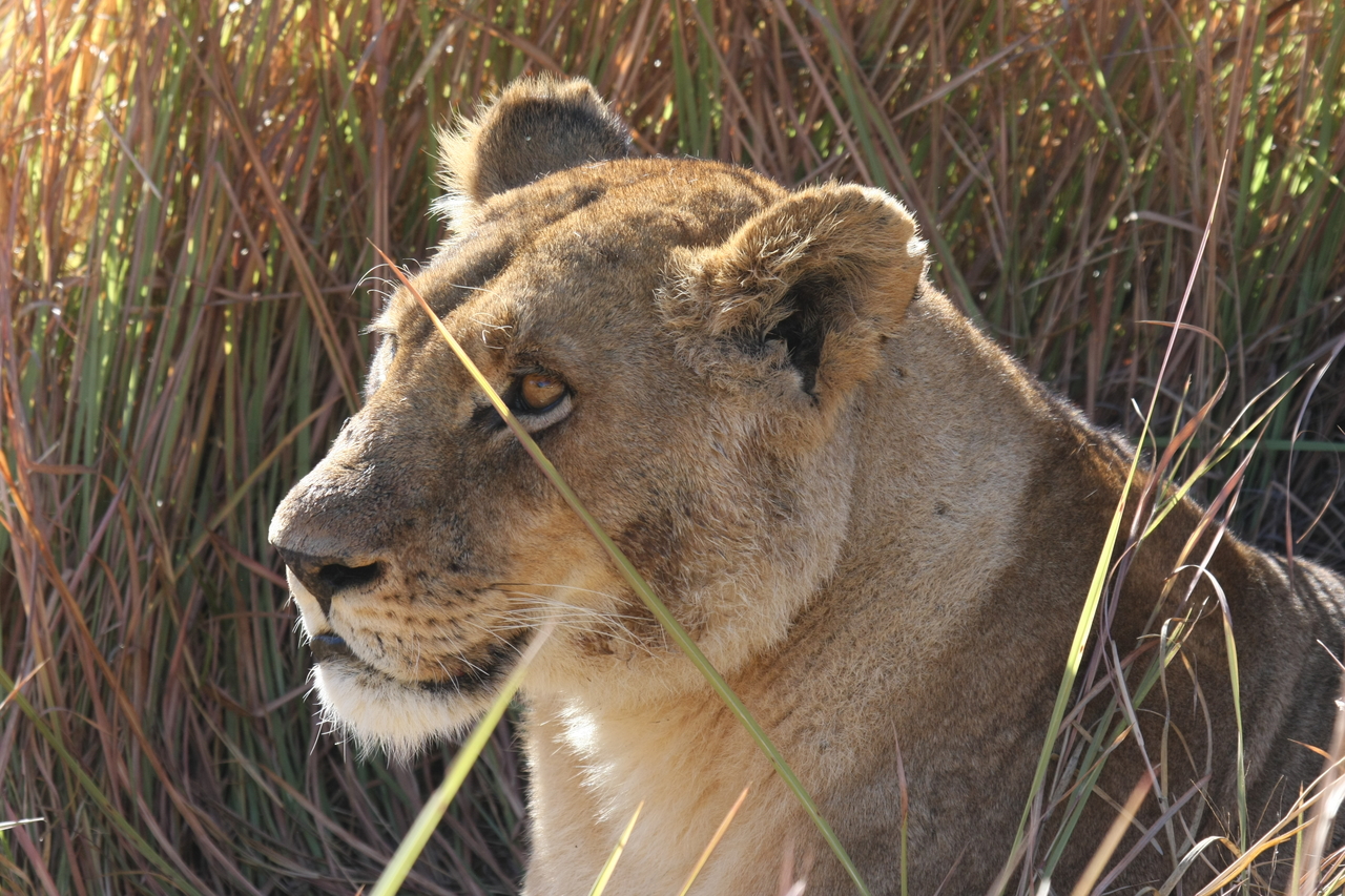 [18819] 2016_06_28_04_18_07_Africa_Canon_EOS_40D_IMG__00374.jpg