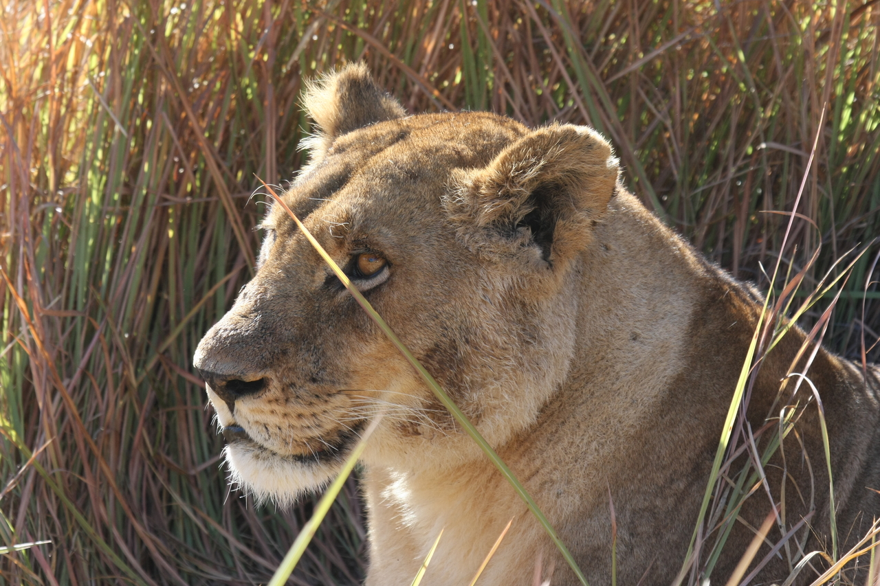 [18823] 2016_06_28_04_18_07_Africa_Canon_EOS_40D_IMG__10206.jpg