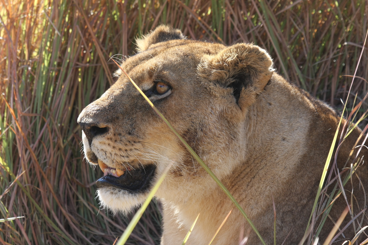 [18858] 2016_06_28_04_18_19_Africa_Canon_EOS_40D_IMG__10220.jpg