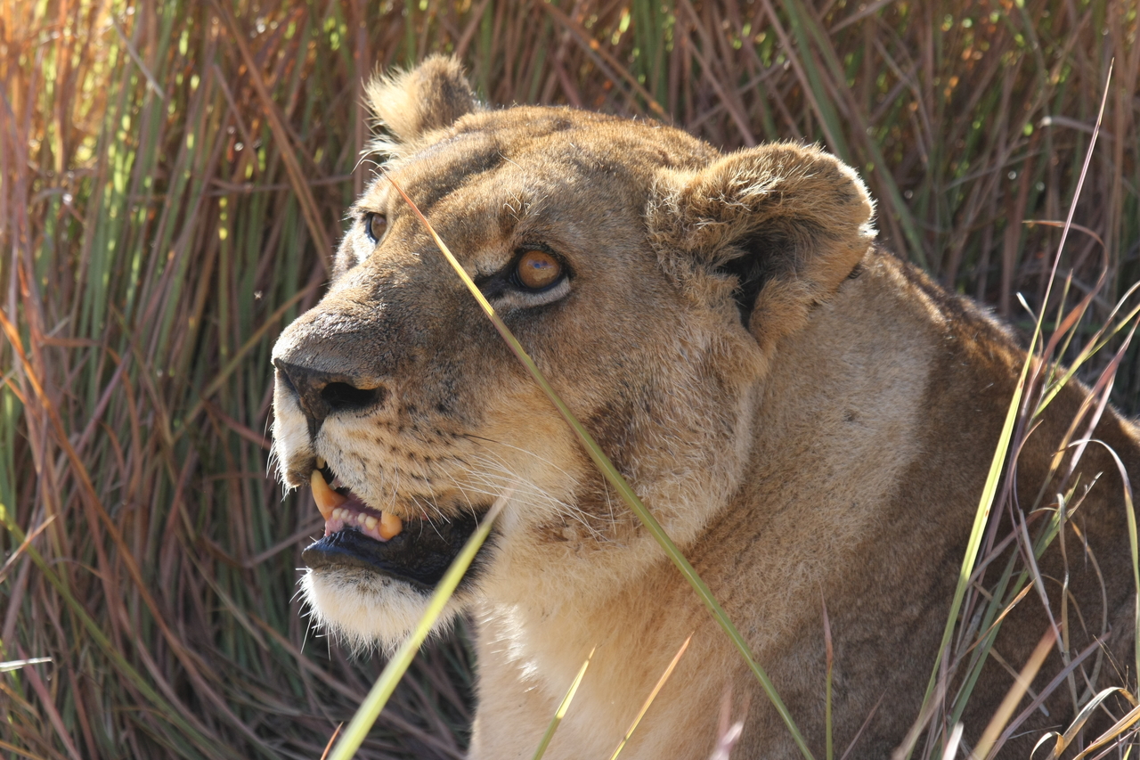 [18861] 2016_06_28_04_18_22_Africa_Canon_EOS_40D_IMG__00389.jpg