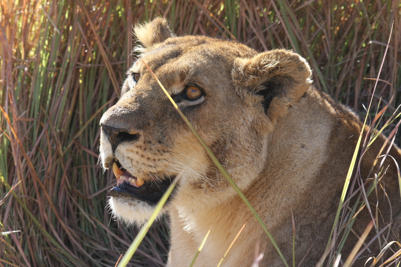 [18866] 2016_06_28_04_18_22_Africa_Canon_EOS_40D_IMG__10222.jpg