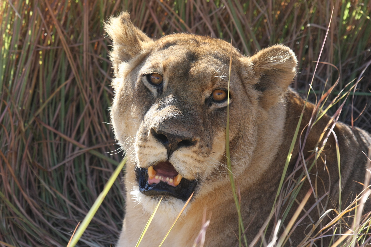 [18869] 2016_06_28_04_18_27_Africa_Canon_EOS_40D_IMG__00392.jpg