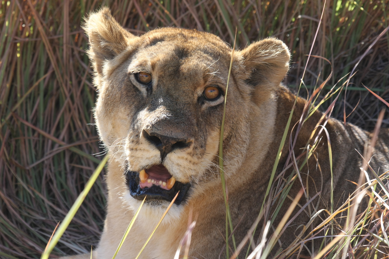 [18878] 2016_06_28_04_18_28_Africa_Canon_EOS_40D_IMG__00395.jpg