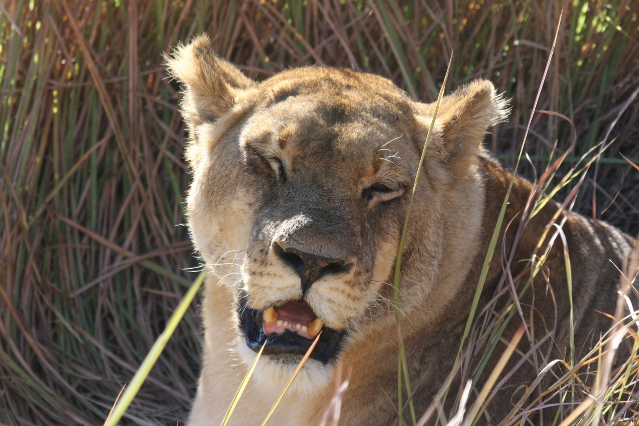 [18899] 2016_06_28_04_18_31_Africa_Canon_EOS_40D_IMG__02788.jpg