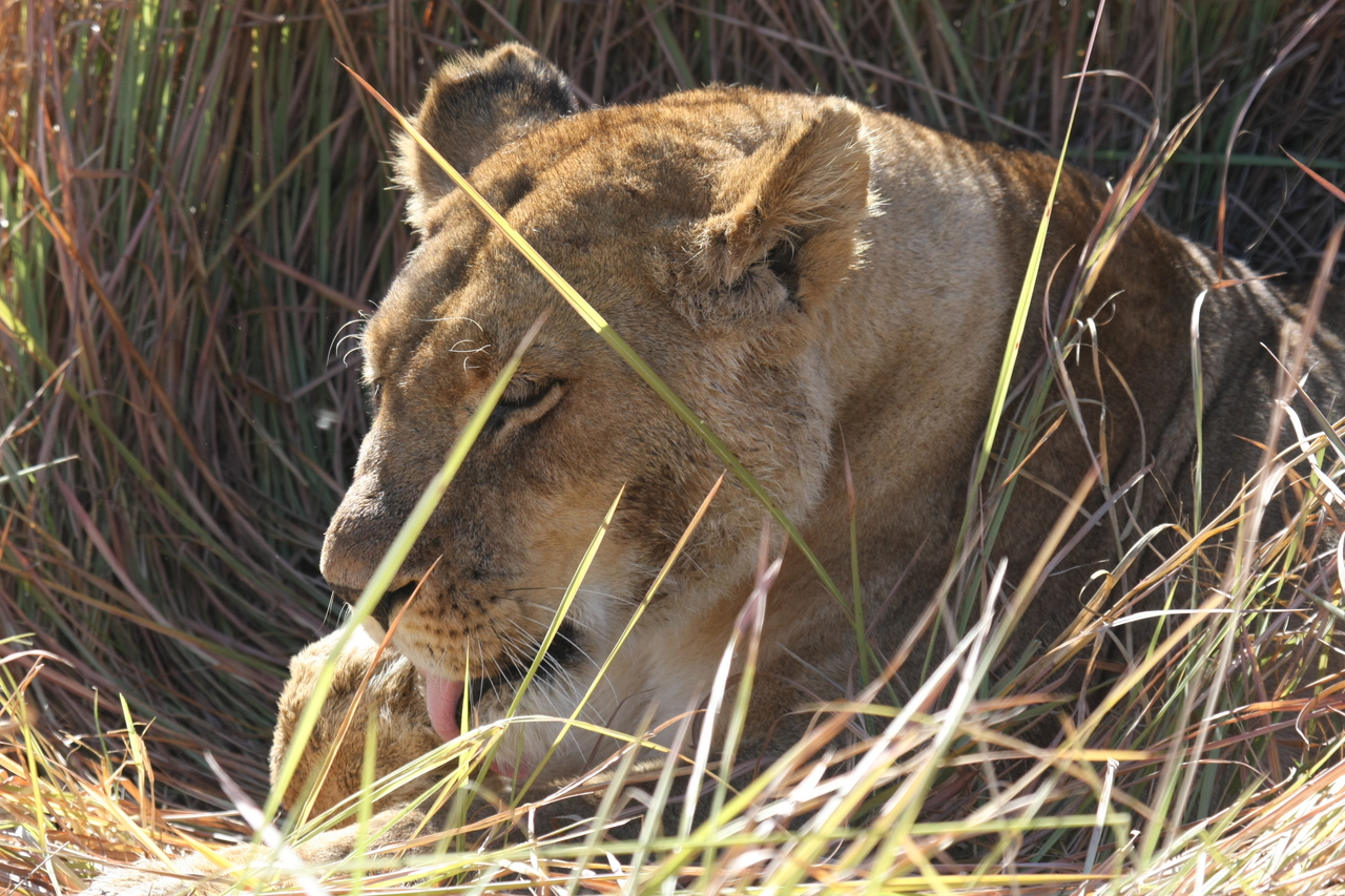 [18910] 2016_06_28_04_18_39_Africa_Canon_EOS_40D_IMG__00406.jpg