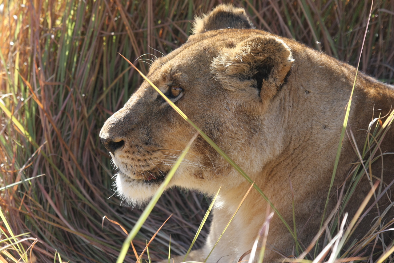 [18943] 2016_06_28_04_18_49_Africa_Canon_EOS_40D_IMG__00418.jpg