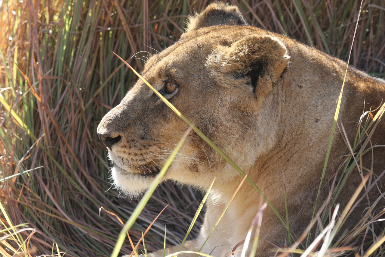 [18945] 2016_06_28_04_18_49_Africa_Canon_EOS_40D_IMG__00420.jpg