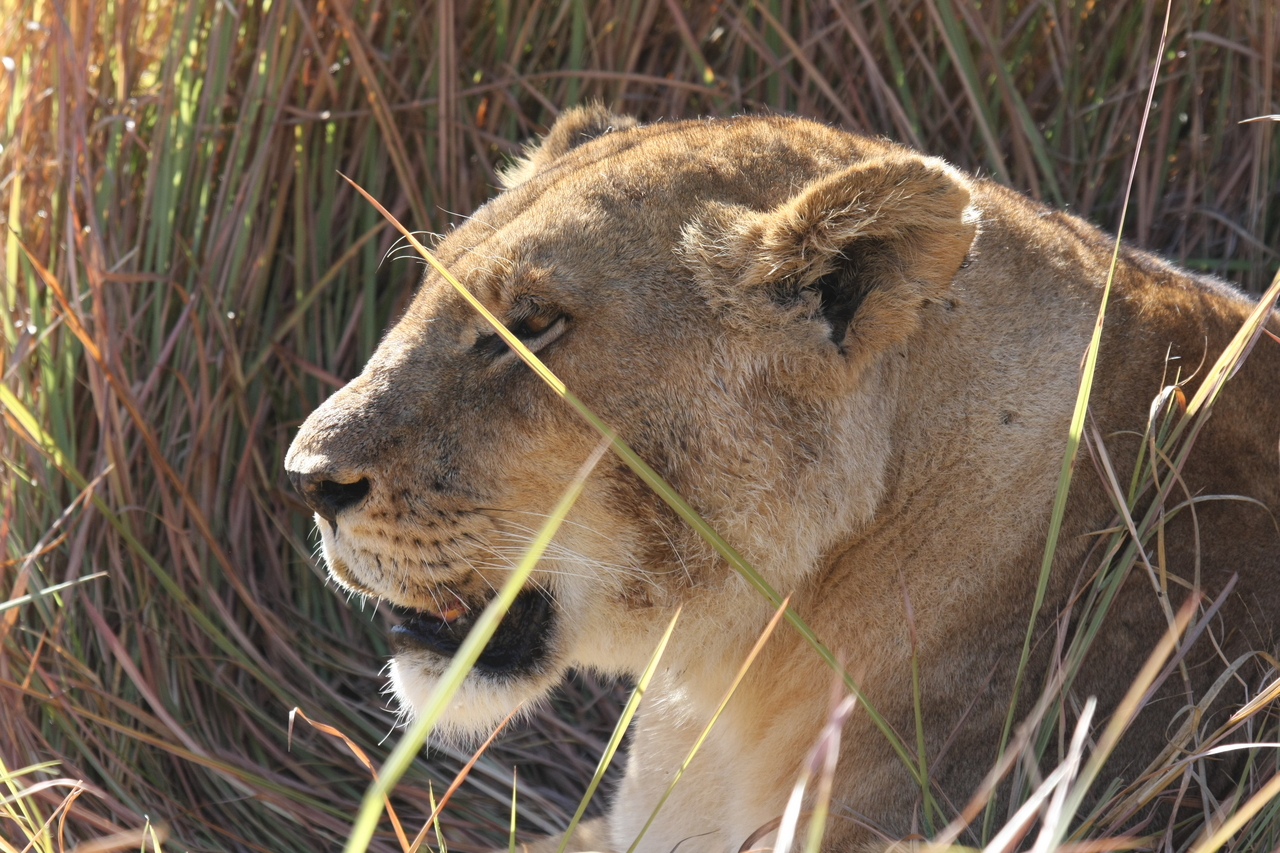 [18956] 2016_06_28_04_18_55_Africa_Canon_EOS_40D_IMG__02809.jpg