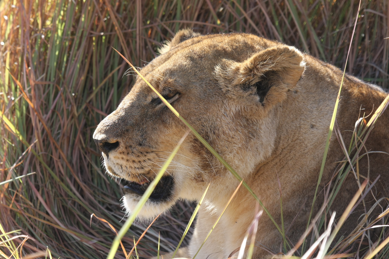 [18958] 2016_06_28_04_18_55_Africa_Canon_EOS_40D_IMG__10255.jpg