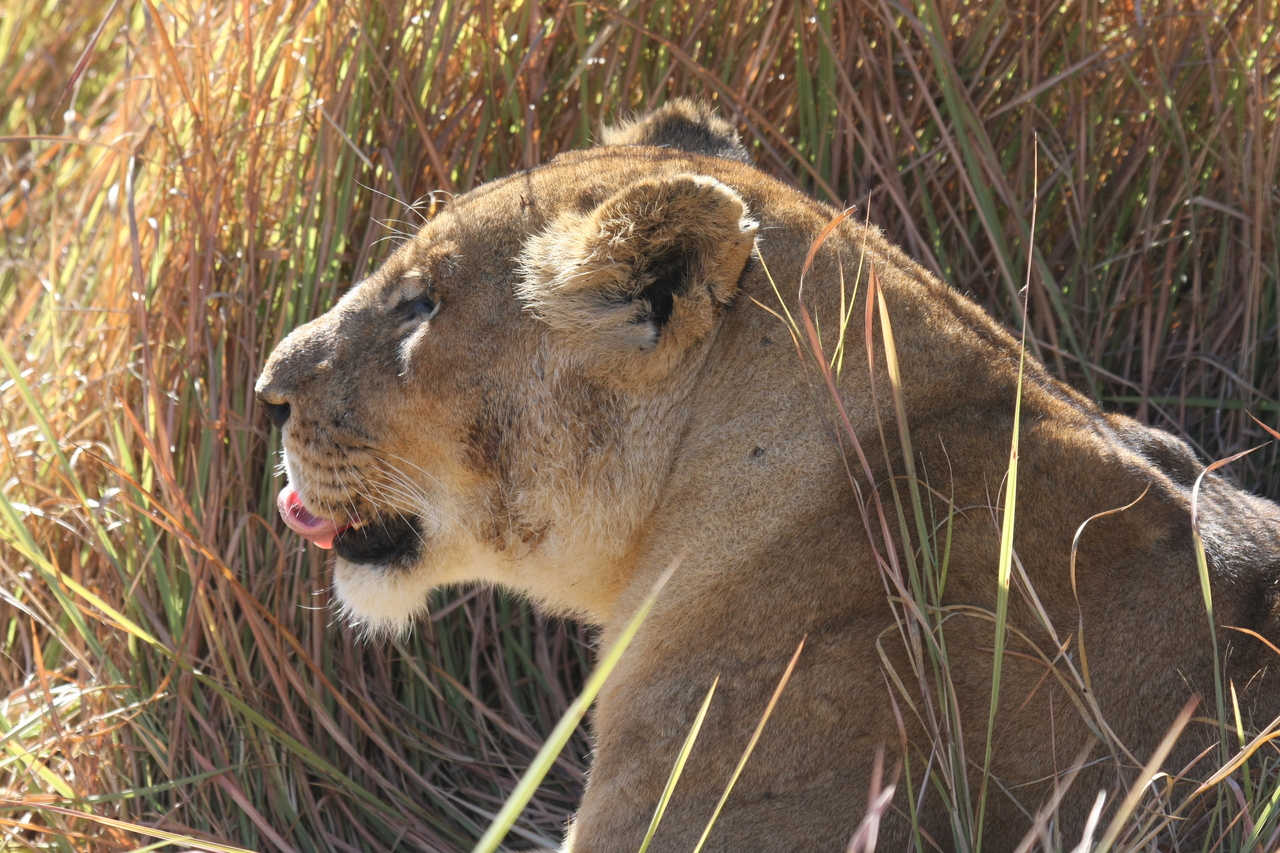 [18964] 2016_06_28_04_19_10_Africa_Canon_EOS_40D_IMG__02812.jpg