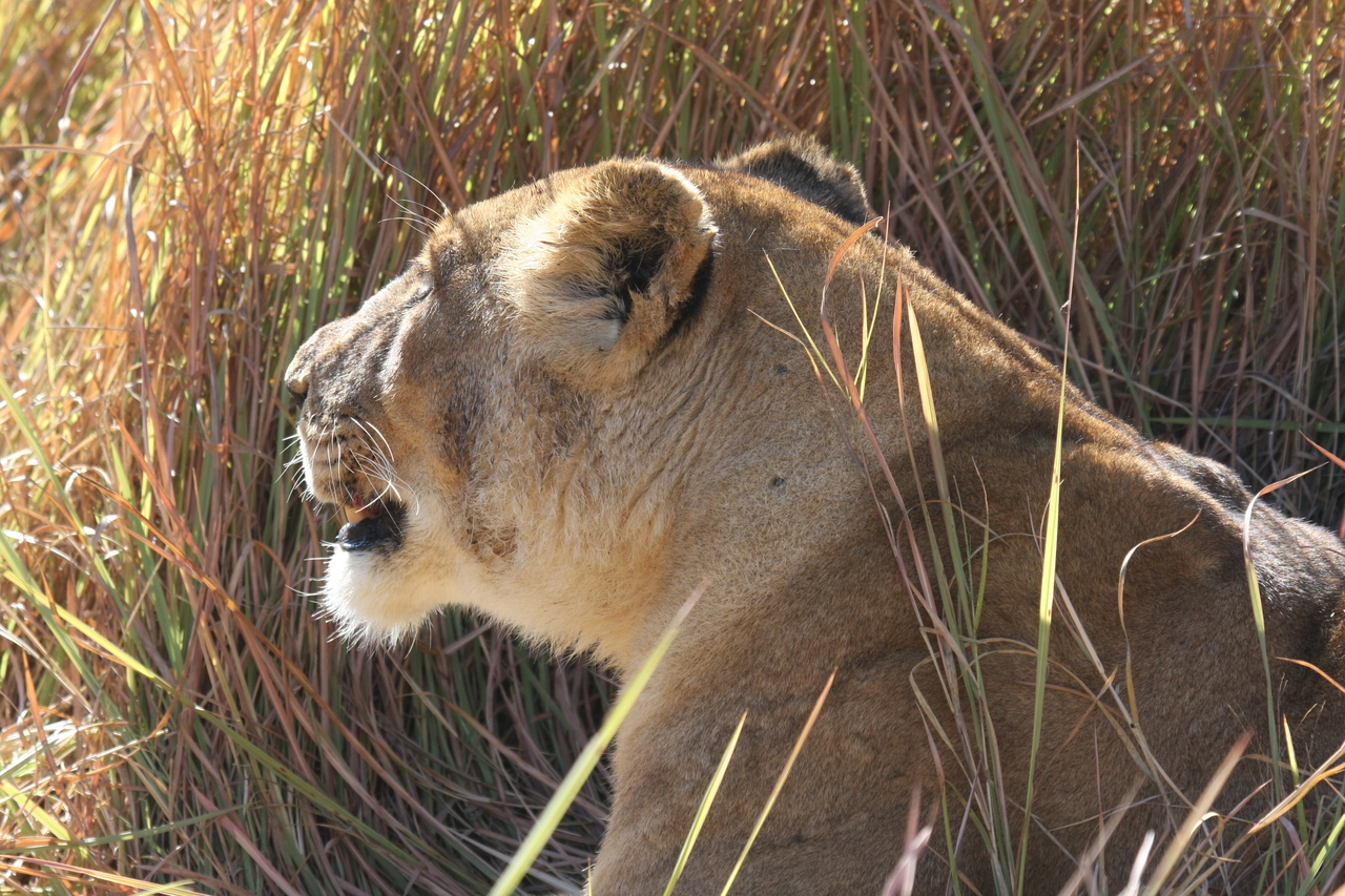 [18966] 2016_06_28_04_19_10_Africa_Canon_EOS_40D_IMG__02814.jpg