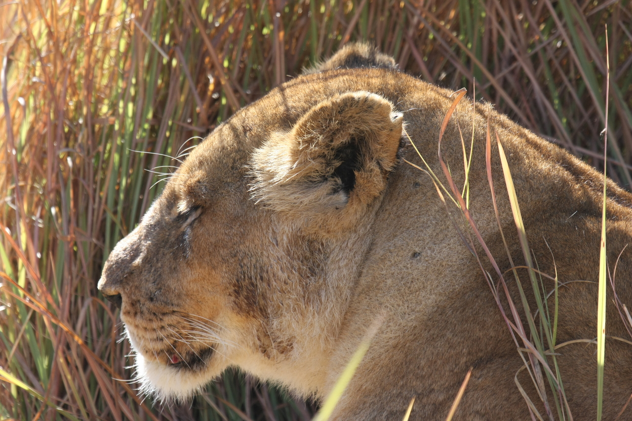 [18977] 2016_06_28_04_19_33_Africa_Canon_EOS_40D_IMG__10263.jpg