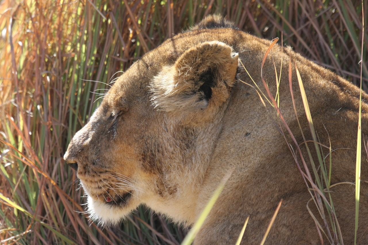 [18982] 2016_06_28_04_19_36_Africa_Canon_EOS_40D_IMG__02819.jpg