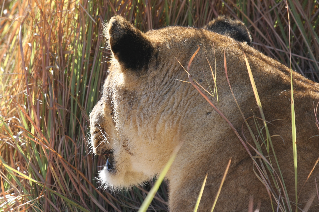 [19043] 2016_06_28_04_22_12_Africa_Canon_EOS_40D_IMG__02830.jpg