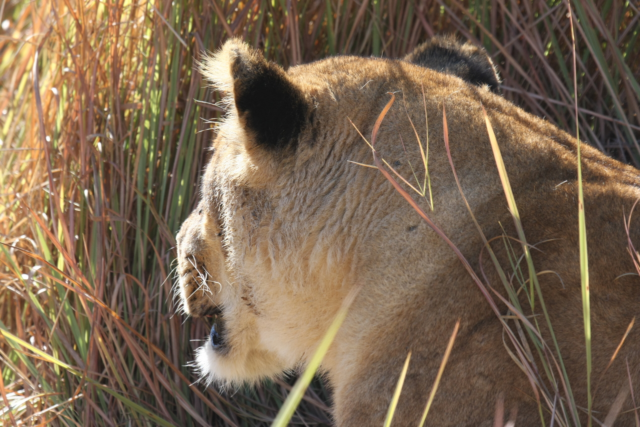 [19045] 2016_06_28_04_22_12_Africa_Canon_EOS_40D_IMG__02832.jpg