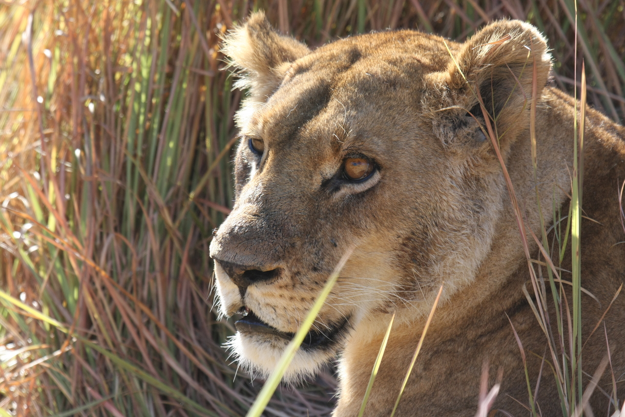 [19050] 2016_06_28_04_23_20_Africa_Canon_EOS_40D_IMG__00449.jpg