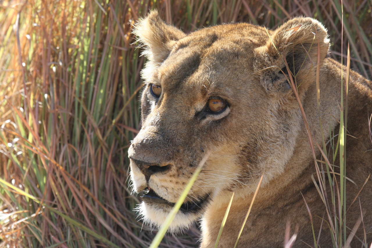 [19051] 2016_06_28_04_23_20_Africa_Canon_EOS_40D_IMG__02835.jpg