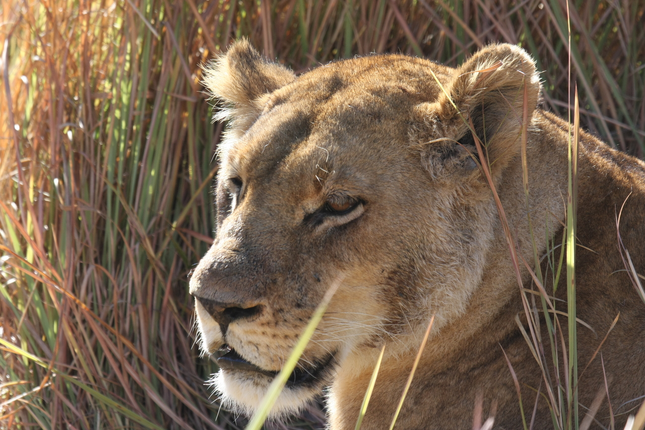 [19058] 2016_06_28_04_23_21_Africa_Canon_EOS_40D_IMG__02838.jpg