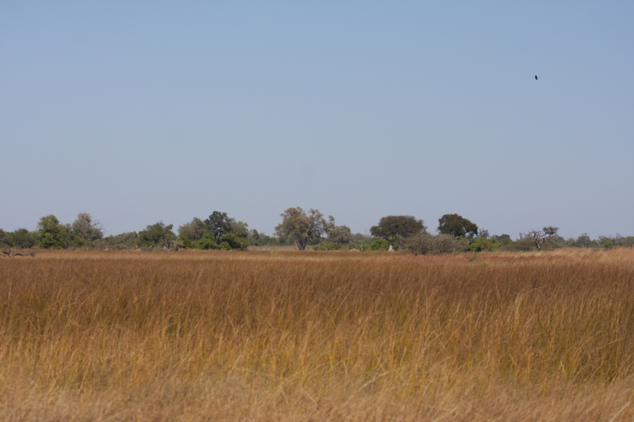 [19516] 2016_06_28_05_16_59_Africa_Canon_EOS_40D_IMG__10453.jpg