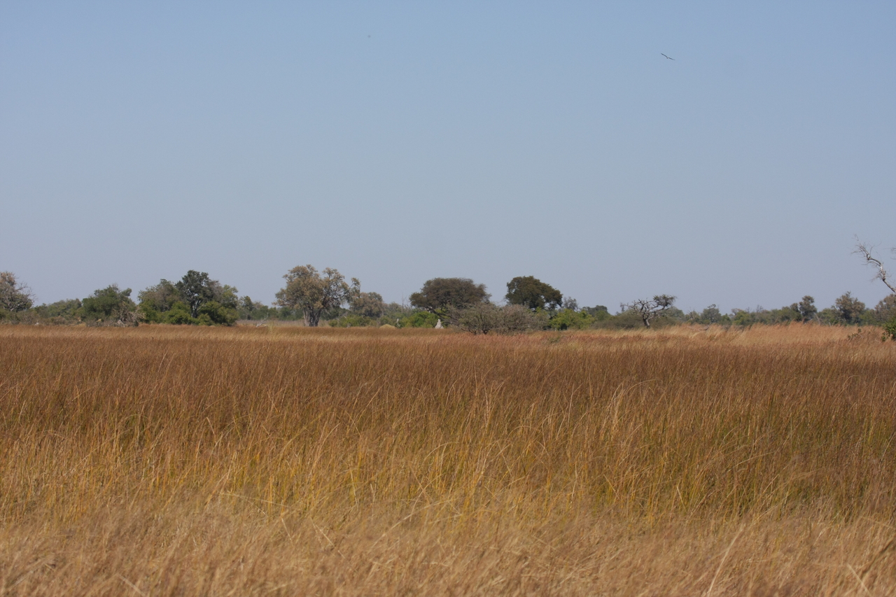 [19519] 2016_06_28_05_17_05_Africa_Canon_EOS_40D_IMG__03007.jpg