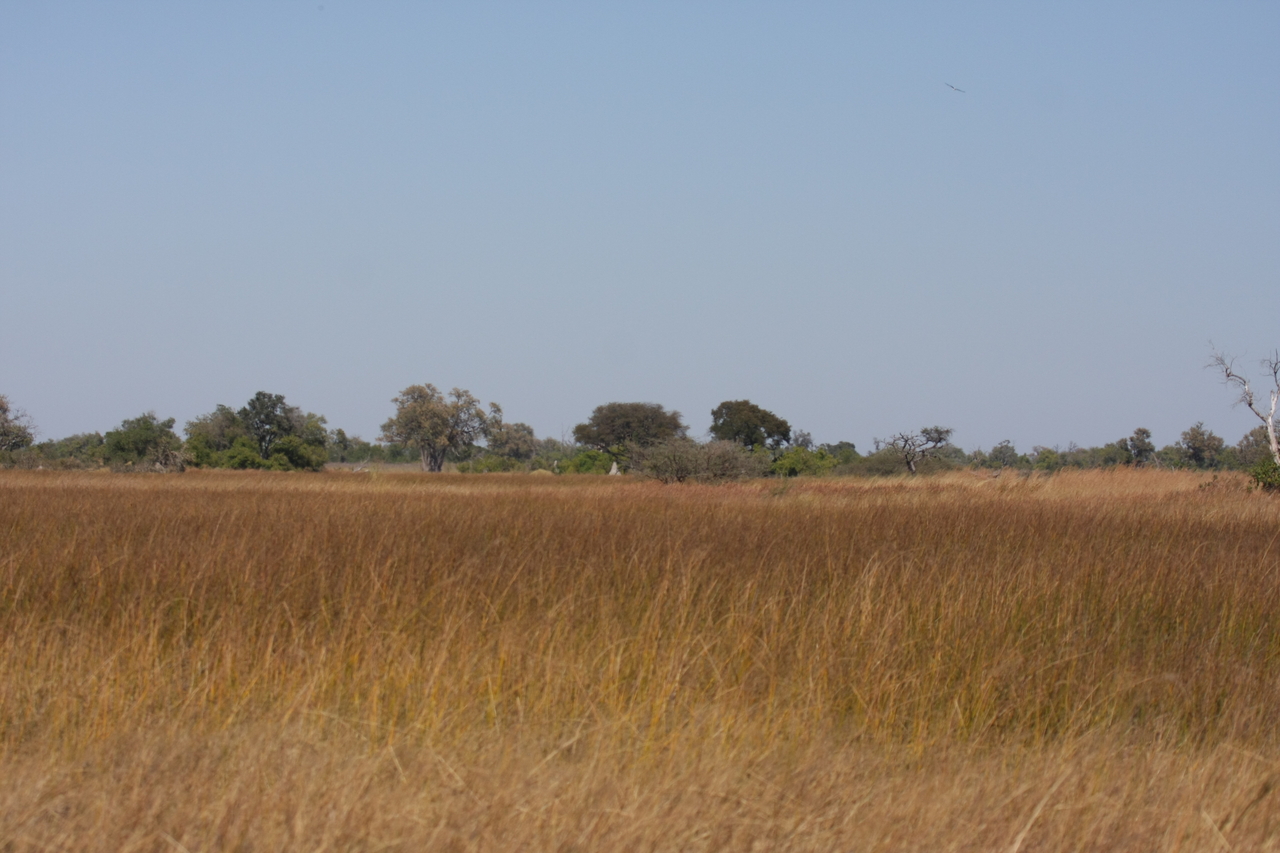 [19520] 2016_06_28_05_17_05_Africa_Canon_EOS_40D_IMG__03008.jpg