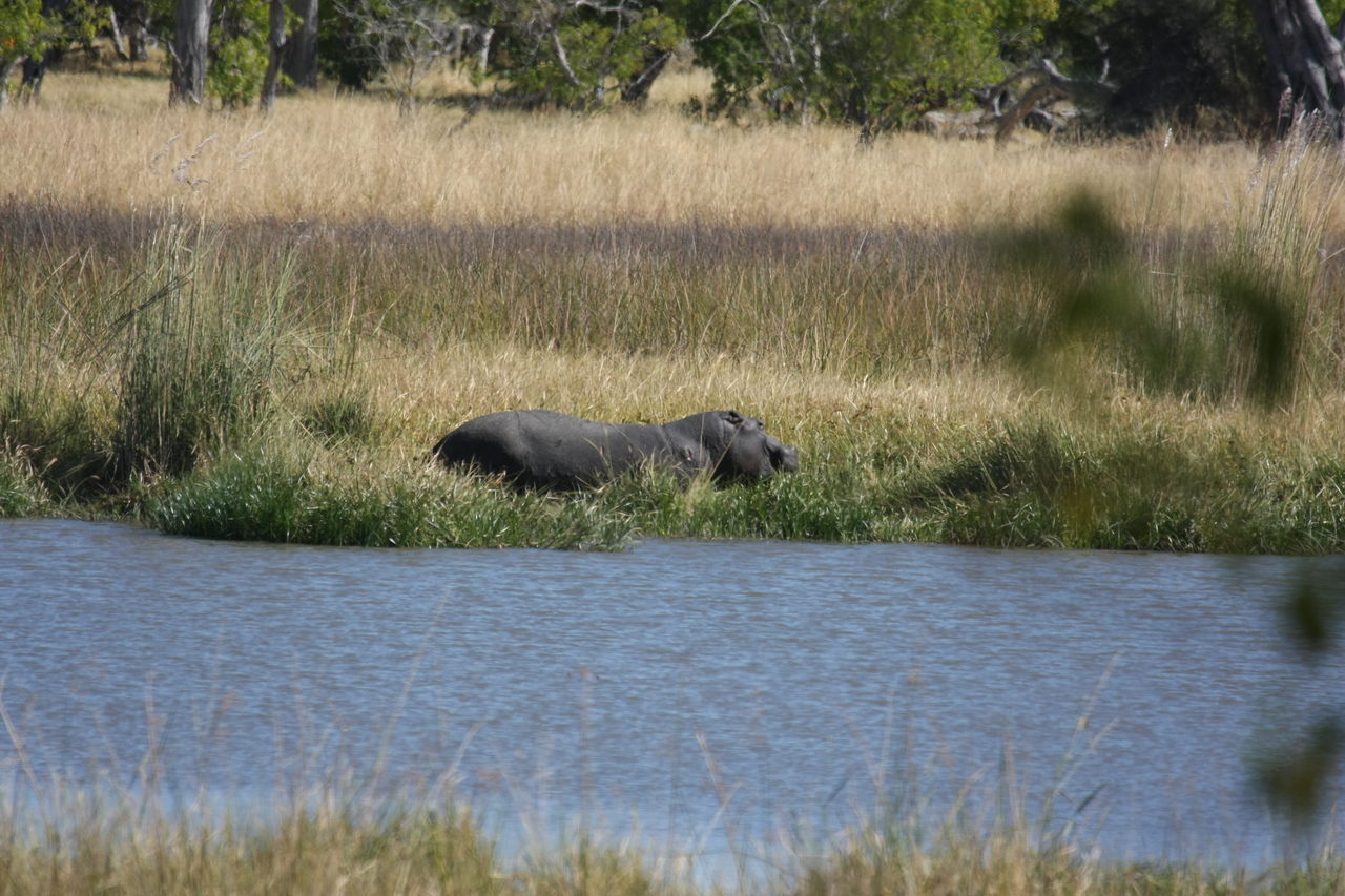 [19558] 2016_06_28_05_23_36_Africa_Canon_EOS_40D_IMG__00637.jpg
