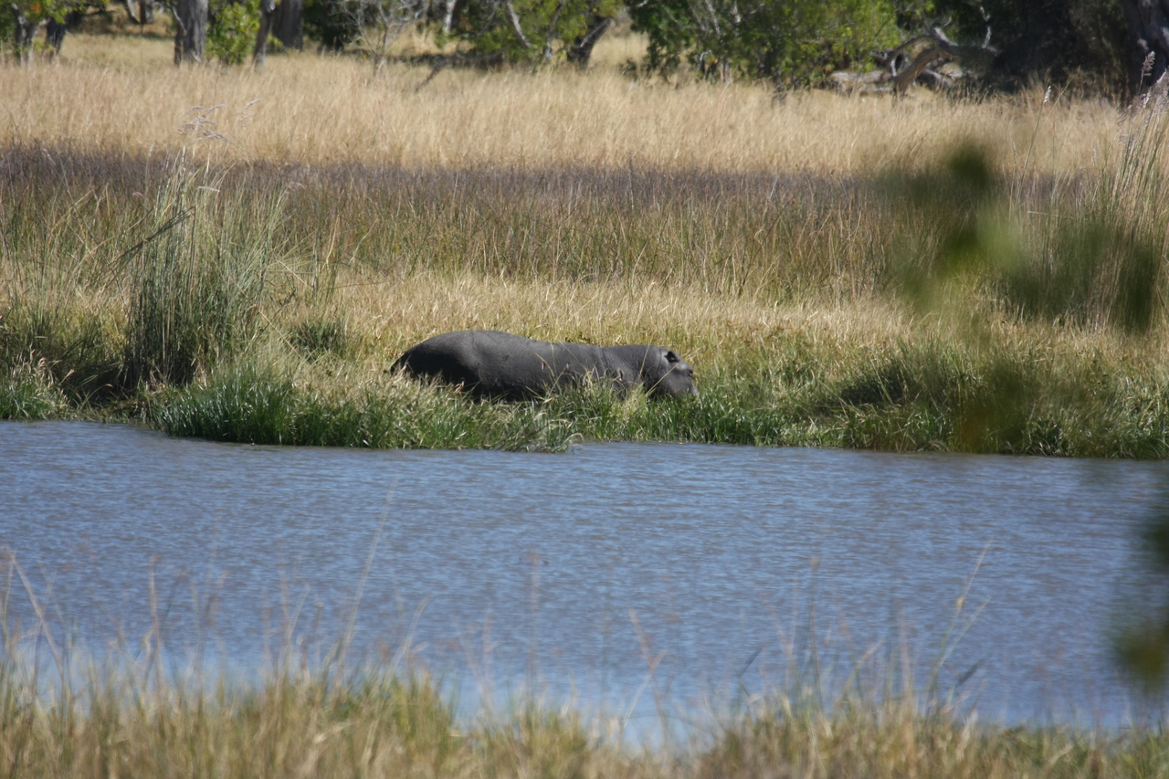 [19566] 2016_06_28_05_23_39_Africa_Canon_EOS_40D_IMG__00639.jpg
