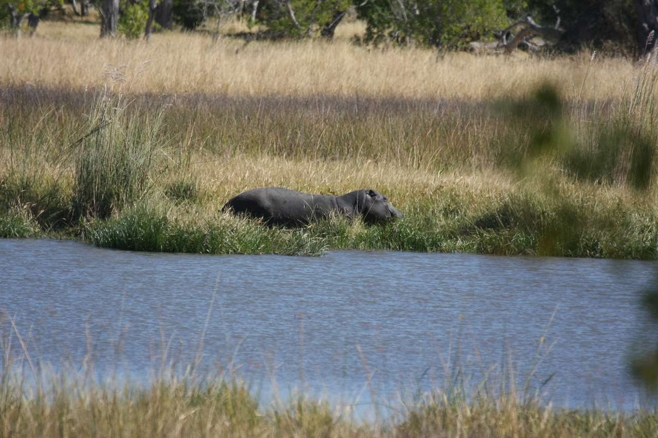 [19567] 2016_06_28_05_23_39_Africa_Canon_EOS_40D_IMG__00640.jpg