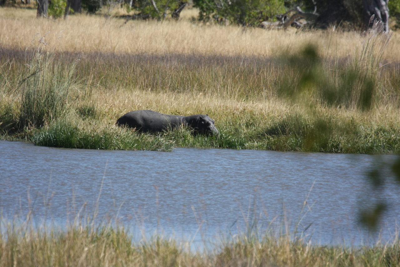 [19580] 2016_06_28_05_23_42_Africa_Canon_EOS_40D_IMG__03029.jpg