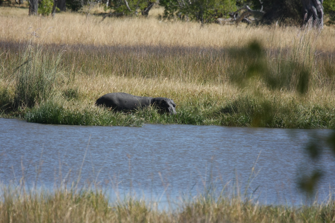 [19587] 2016_06_28_05_23_43_Africa_Canon_EOS_40D_IMG__03032.jpg