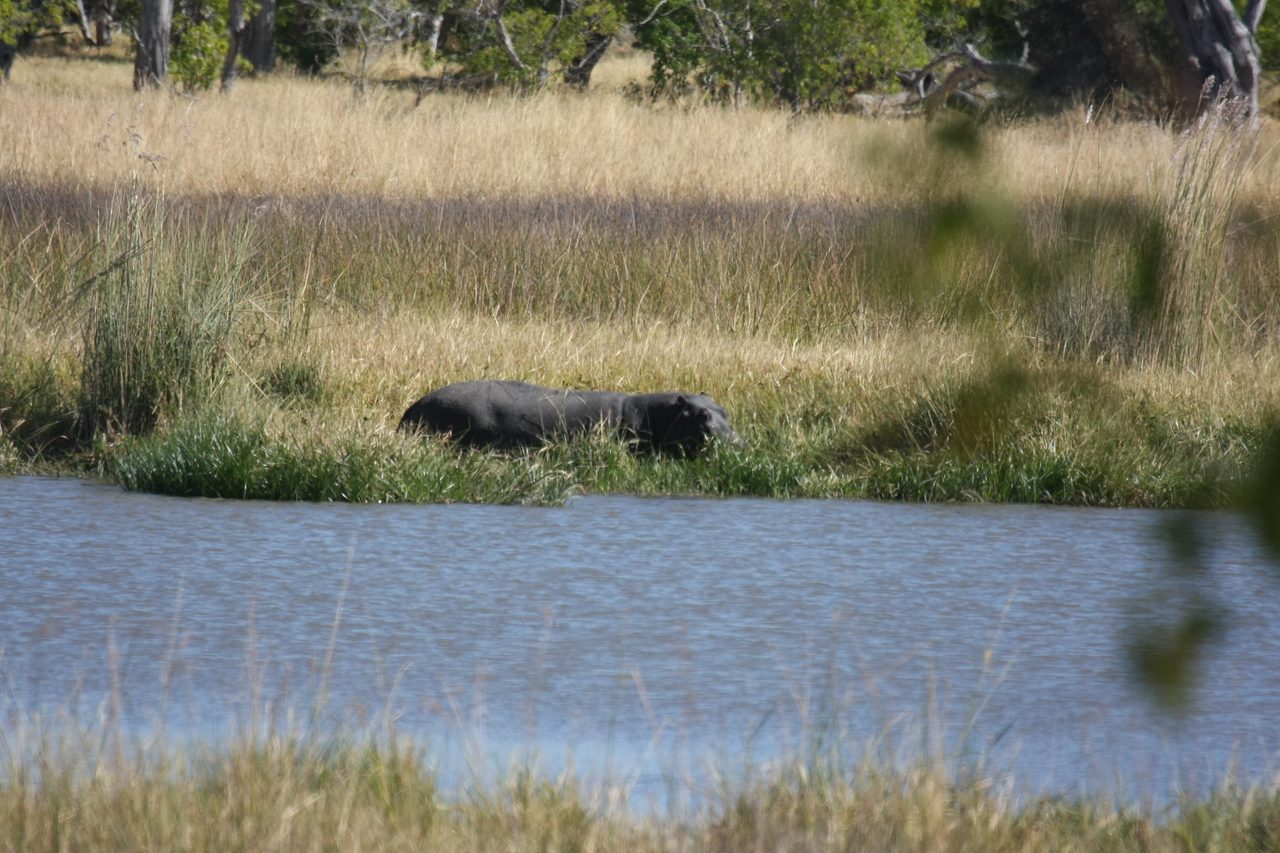 [19616] 2016_06_28_05_24_10_Africa_Canon_EOS_40D_IMG__00656.jpg
