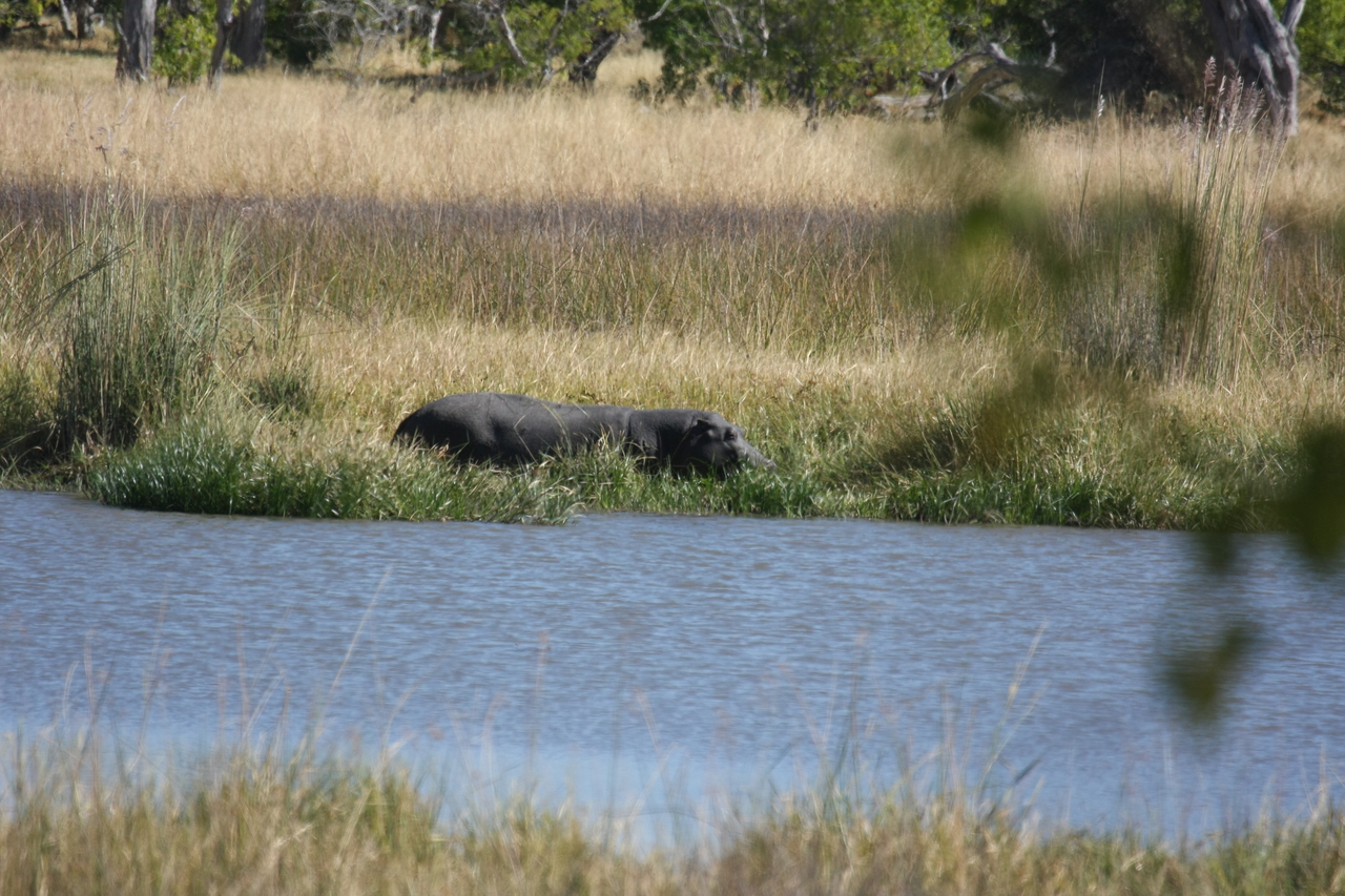 [19628] 2016_06_28_05_24_29_Africa_Canon_EOS_40D_IMG__00661.jpg