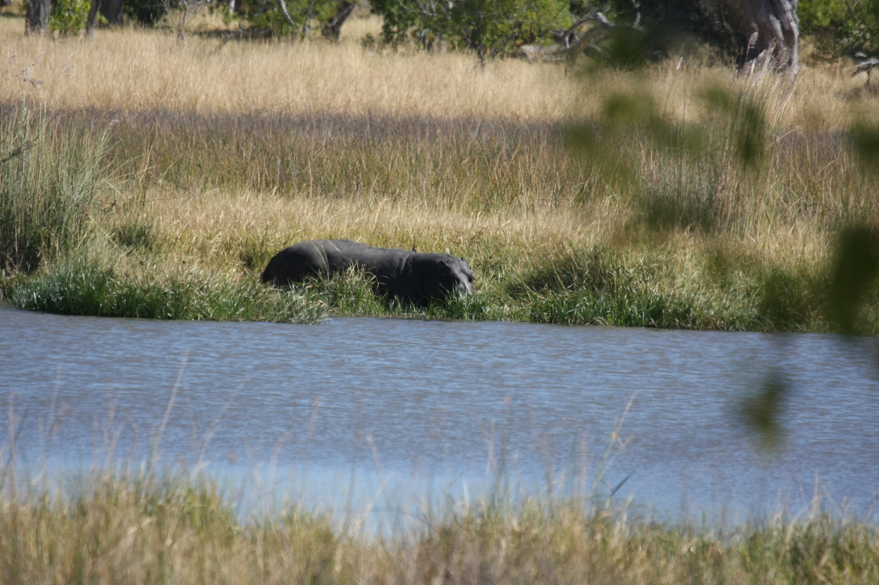 [19639] 2016_06_28_05_25_03_Africa_Canon_EOS_40D_IMG__03052.jpg