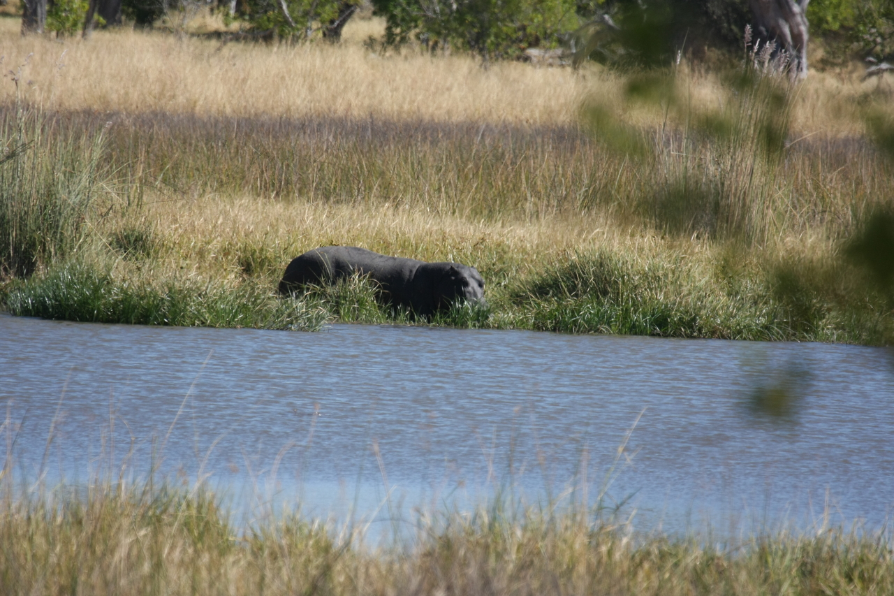 [19643] 2016_06_28_05_25_08_Africa_Canon_EOS_40D_IMG__00666.jpg
