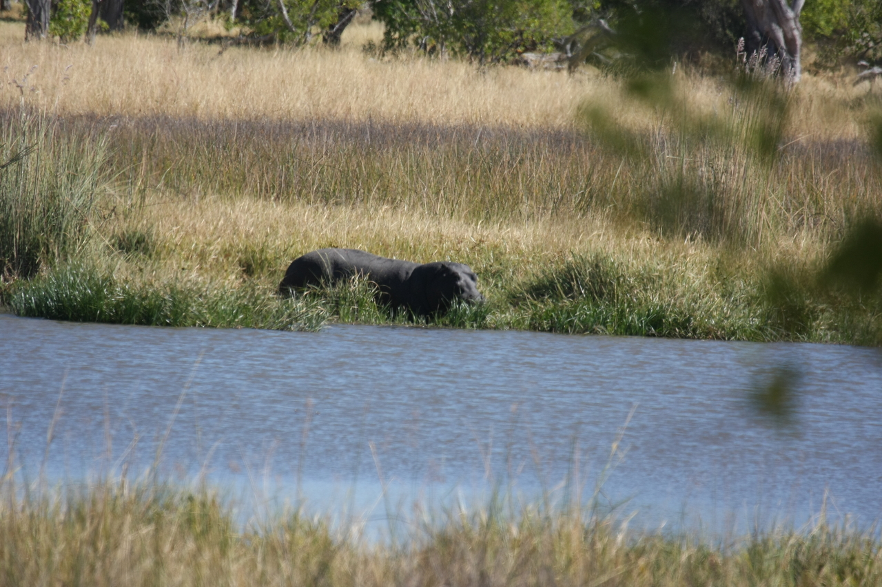 [19645] 2016_06_28_05_25_08_Africa_Canon_EOS_40D_IMG__00670.jpg