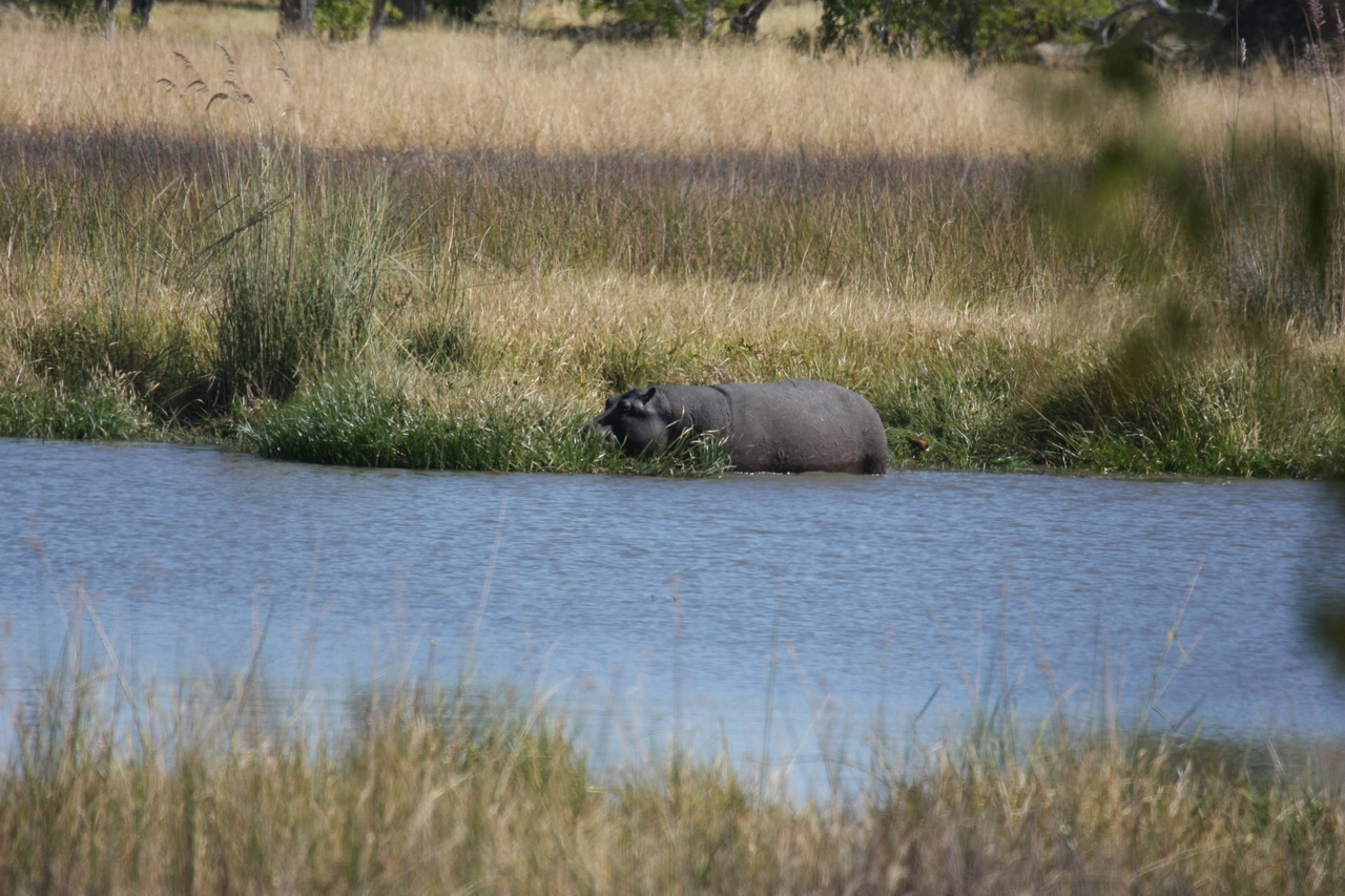 [19656] 2016_06_28_05_26_56_Africa_Canon_EOS_40D_IMG__03059.jpg