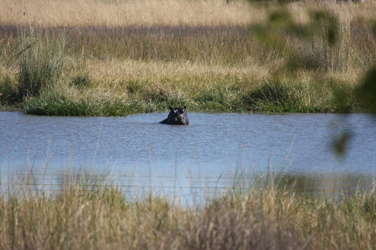 [19668] 2016_06_28_05_27_24_Africa_Canon_EOS_40D_IMG__03063.jpg