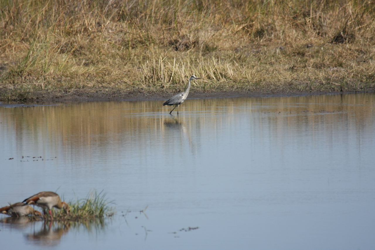 [19740] 2016_06_28_05_33_07_Africa_Canon_EOS_40D_IMG__00704.jpg