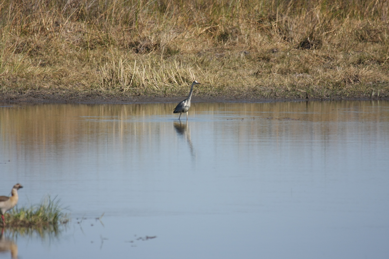 [19756] 2016_06_28_05_33_17_Africa_Canon_EOS_40D_IMG__00710.jpg