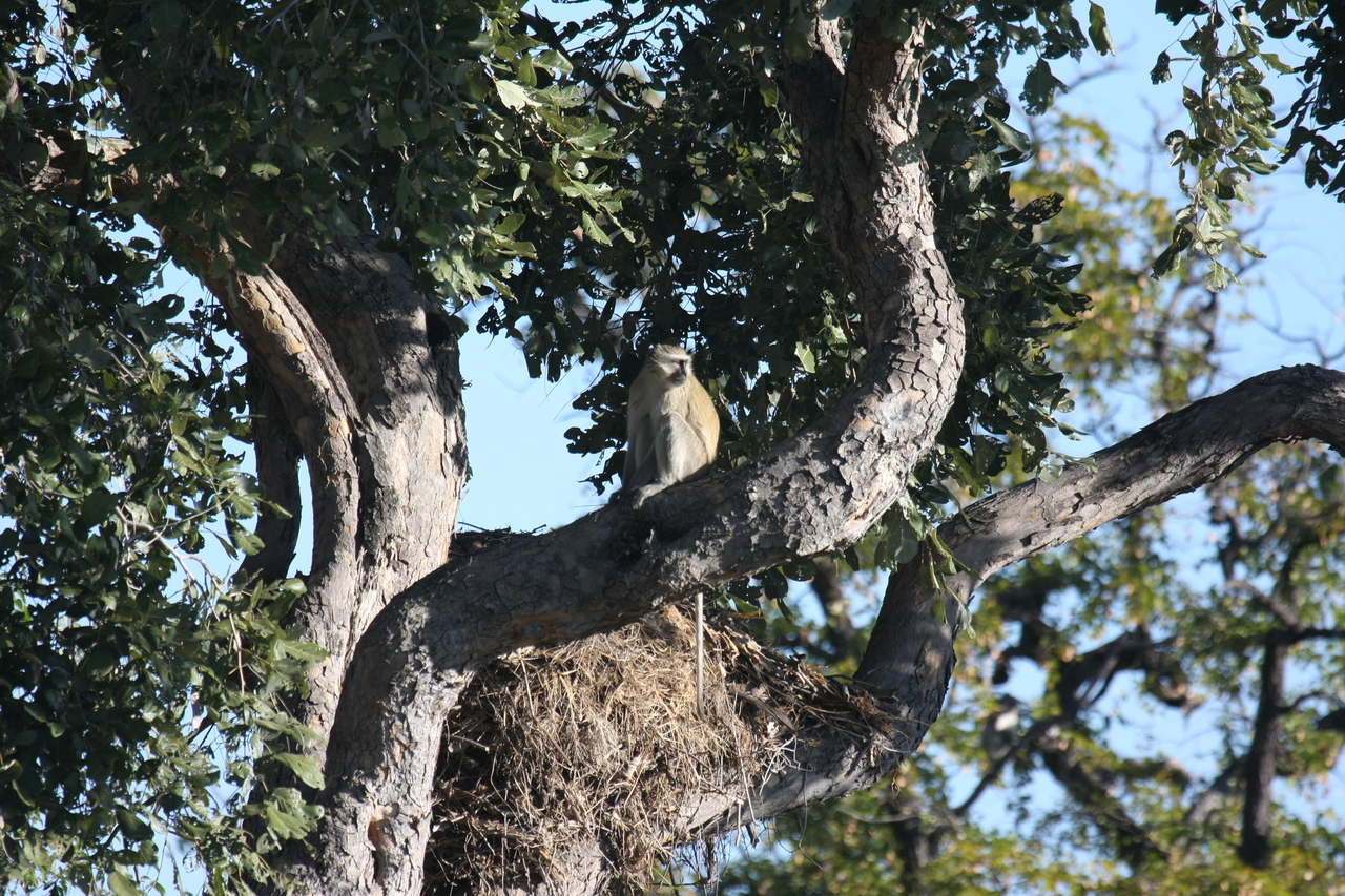 [19998] 2016_06_28_10_28_11_Africa_Canon_EOS_40D_IMG__00732.jpg