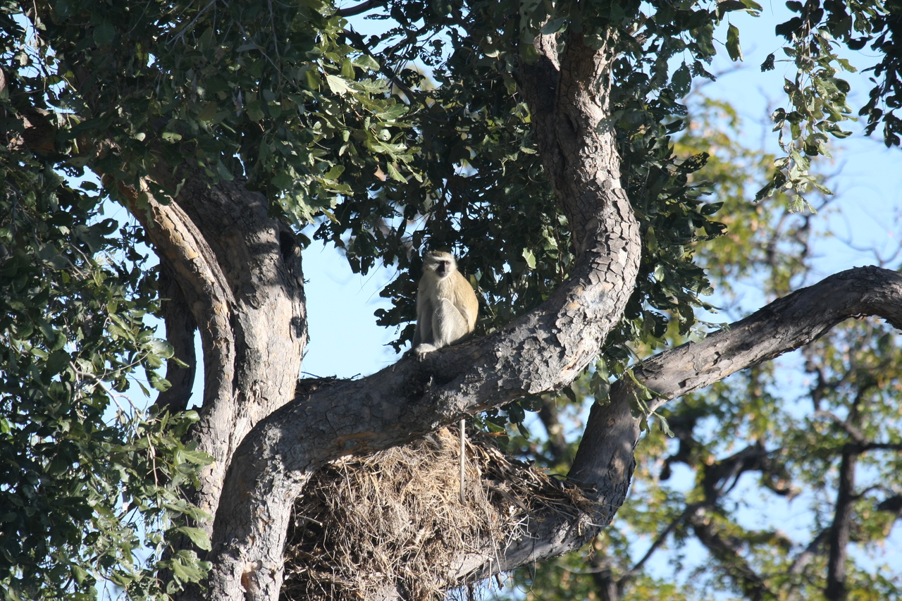 [20009] 2016_06_28_10_28_23_Africa_Canon_EOS_40D_IMG__03124.jpg