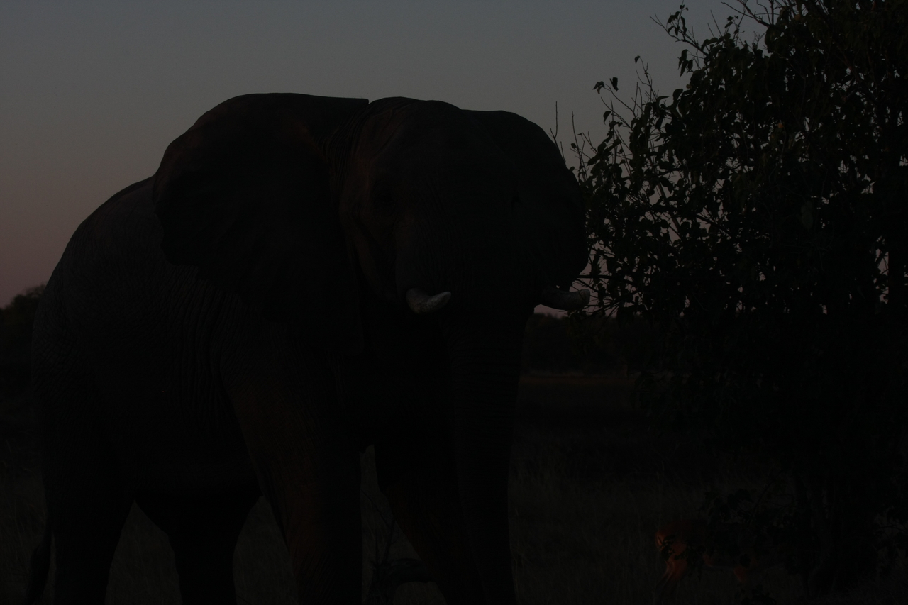 [20101] 2016_06_28_11_51_28_Africa_Canon_EOS_40D_IMG__10582.jpg