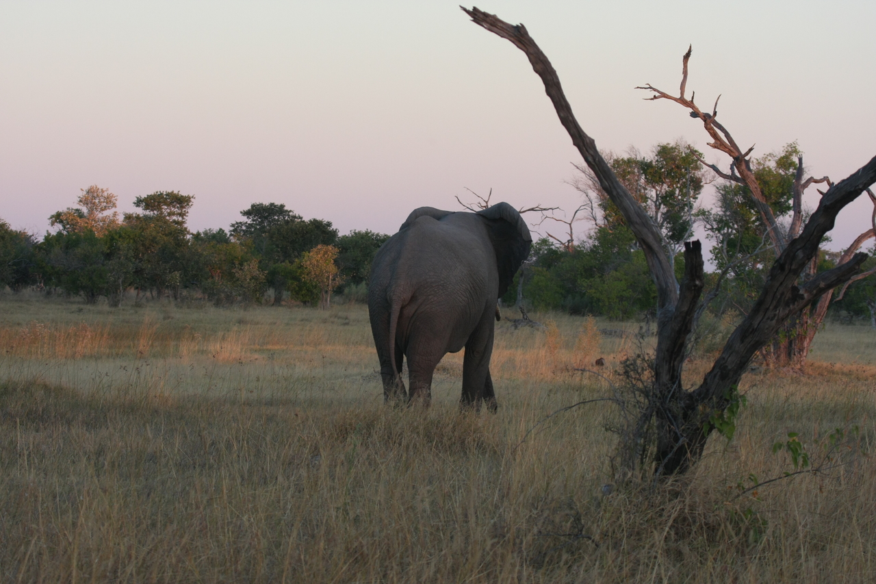 [20164] 2016_06_28_11_53_22_Africa_Canon_EOS_40D_IMG__00771.jpg