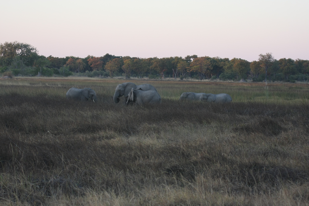 [20173] 2016_06_28_11_54_14_Africa_Canon_EOS_40D_IMG__00774.jpg