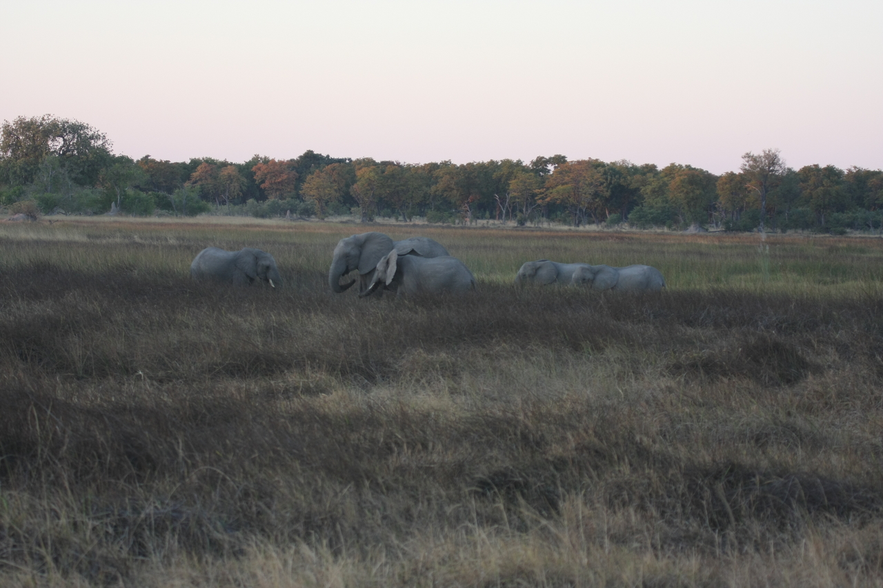 [20176] 2016_06_28_11_54_14_Africa_Canon_EOS_40D_IMG__10607.jpg