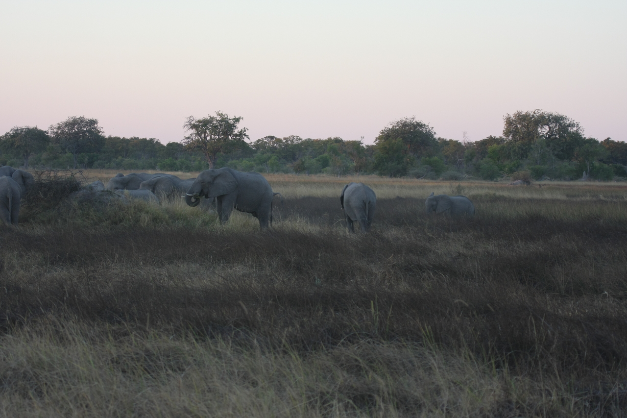 [20179] 2016_06_28_11_54_18_Africa_Canon_EOS_40D_IMG__03162.jpg